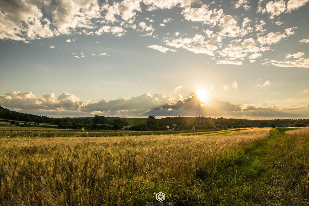 Agroturystyka Szumynowiny Majdan Sopocki Buitenkant foto